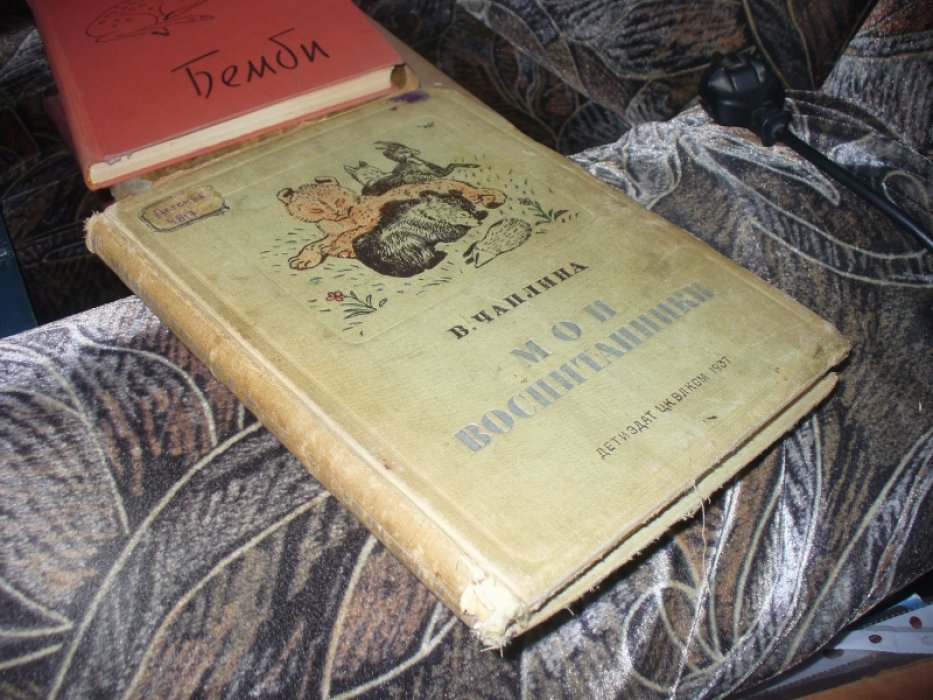 Чаплина В. Мои воспитанники.