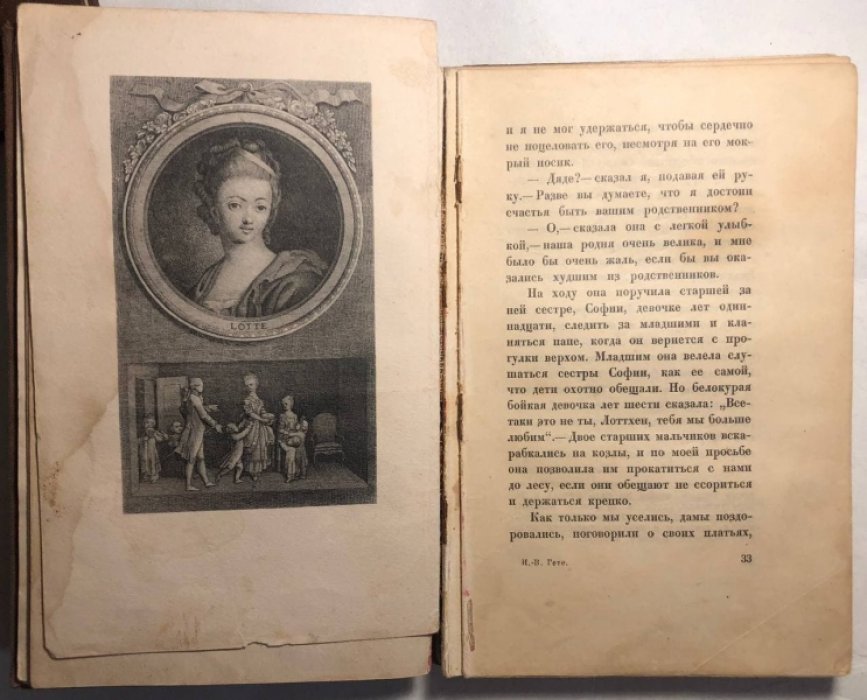 Гете В. Страдания молодого вертера.