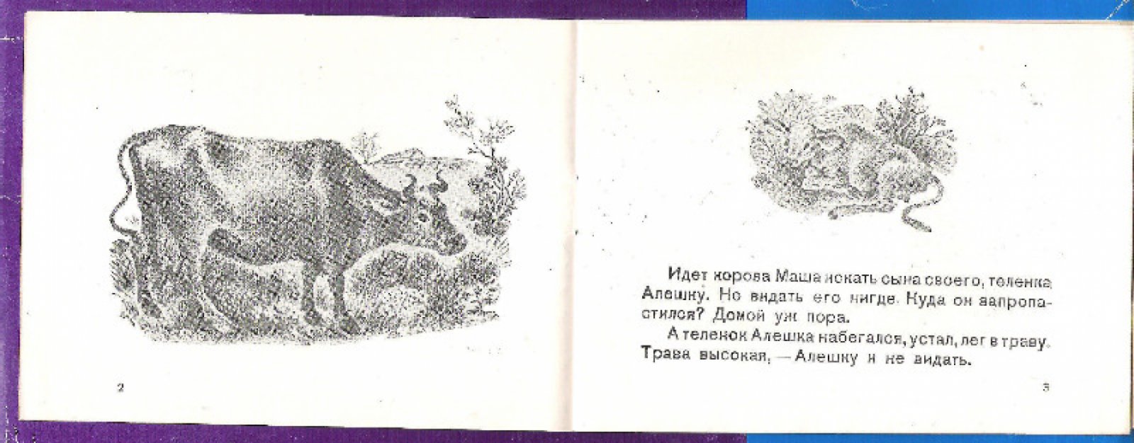 Житков Б. Вечер.