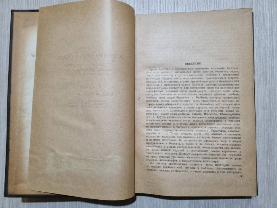 Кожов М.М. Моллюски озера Байкала. систематика, распределение, экология, некоторые данные по генезису и истории.