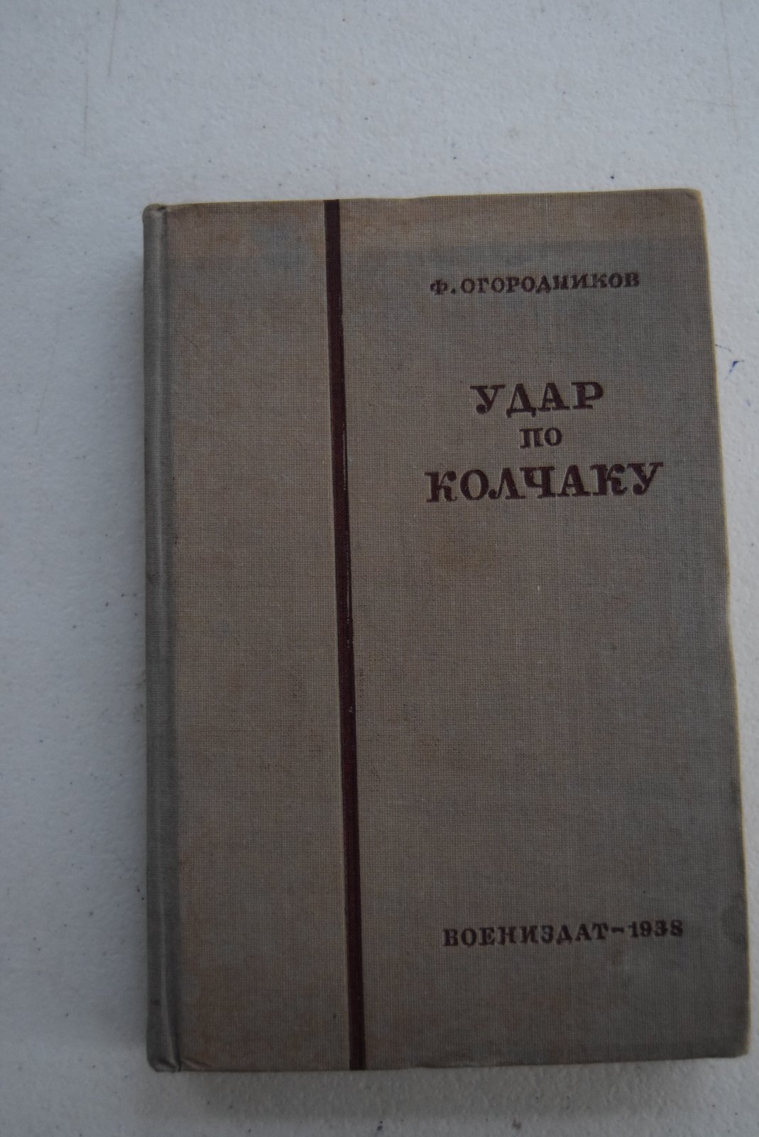 Огородников Федор. Удар по Колчаку весной 1919 г.