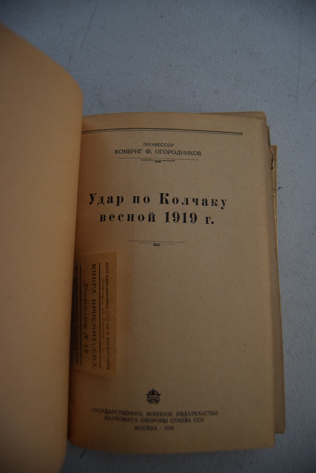 Огородников Федор. Удар по Колчаку весной 1919 г.