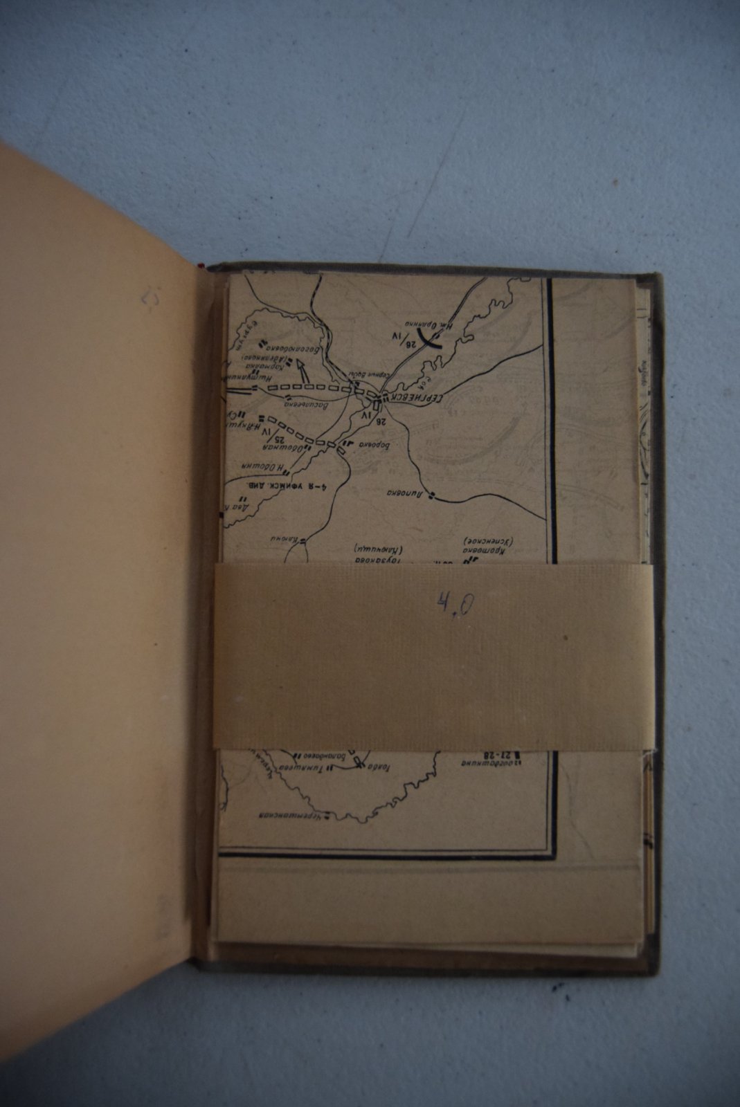 Огородников Федор. Удар по Колчаку весной 1919 г.