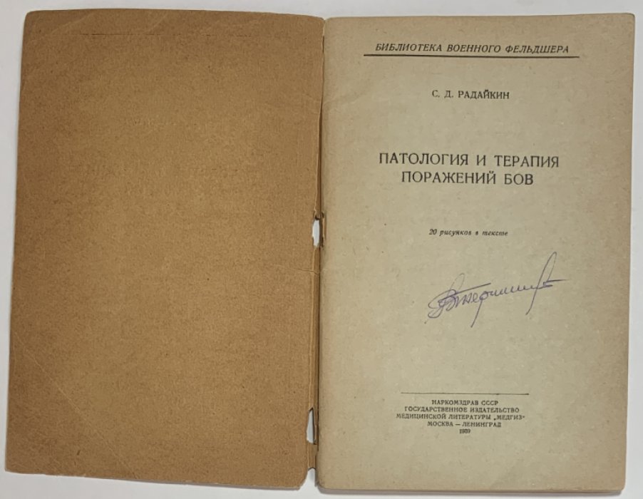 Радайкин С.Д. Патология и терапия поражений БОВ.