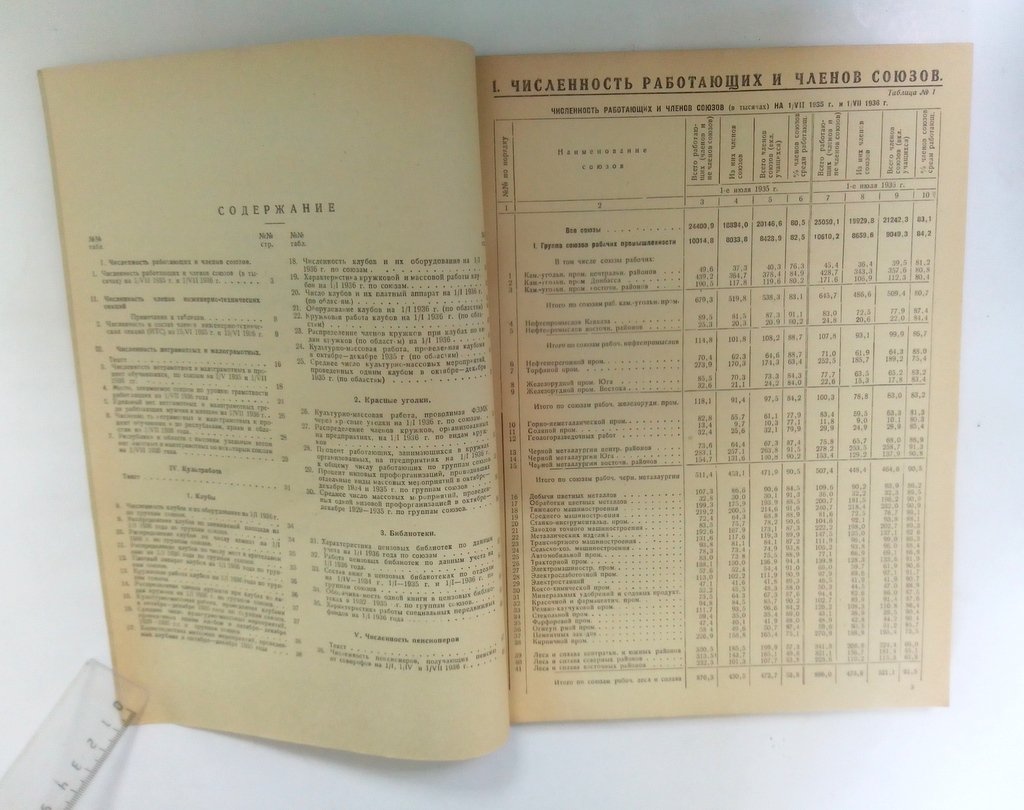 Статистический справочник.