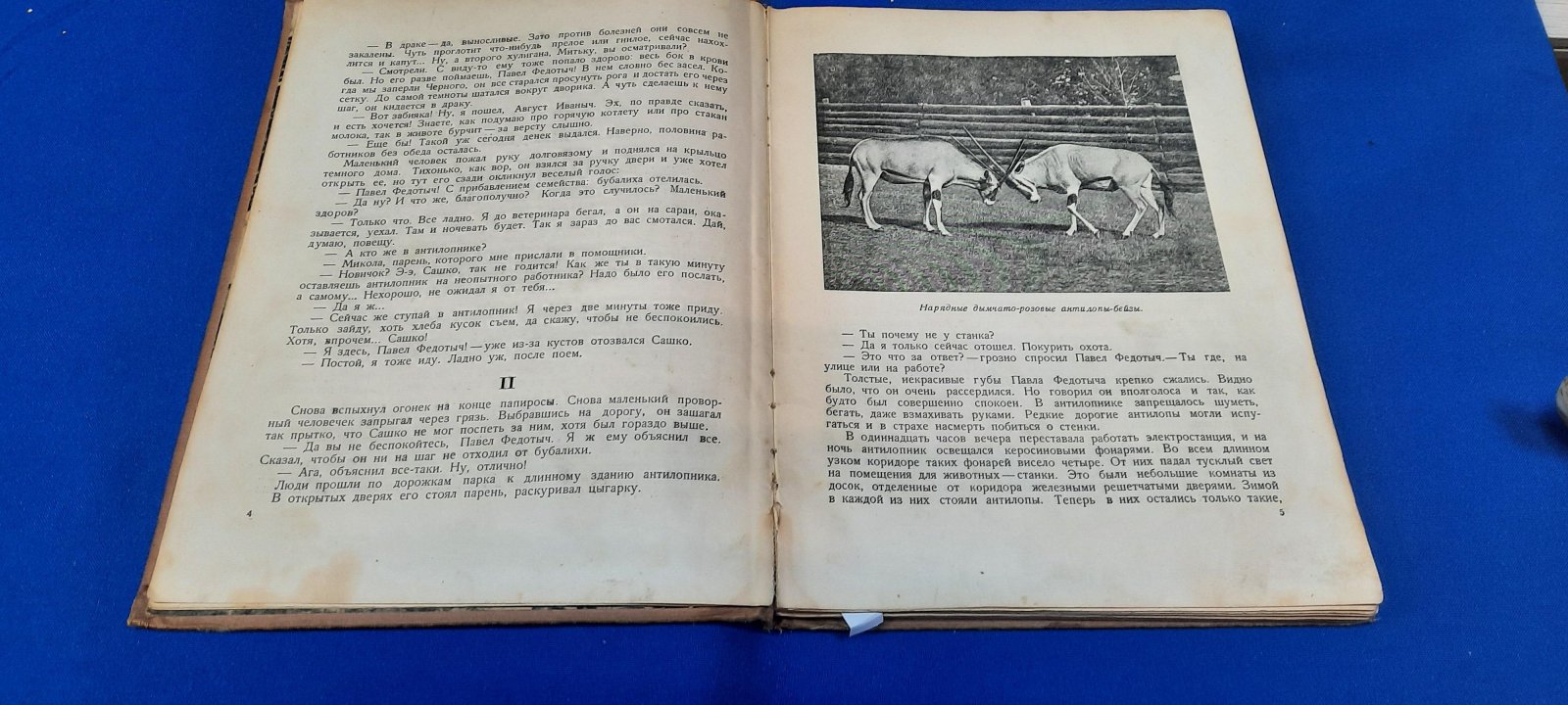 Замчалов Г., Перовская О. Остров в степи.