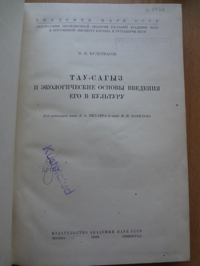 Культиасов М. В. Тау-сагыз и  введение его в культуру.