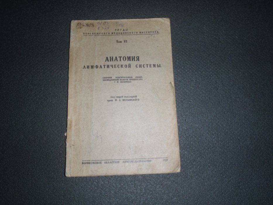 Анатомия лимфатической системы.