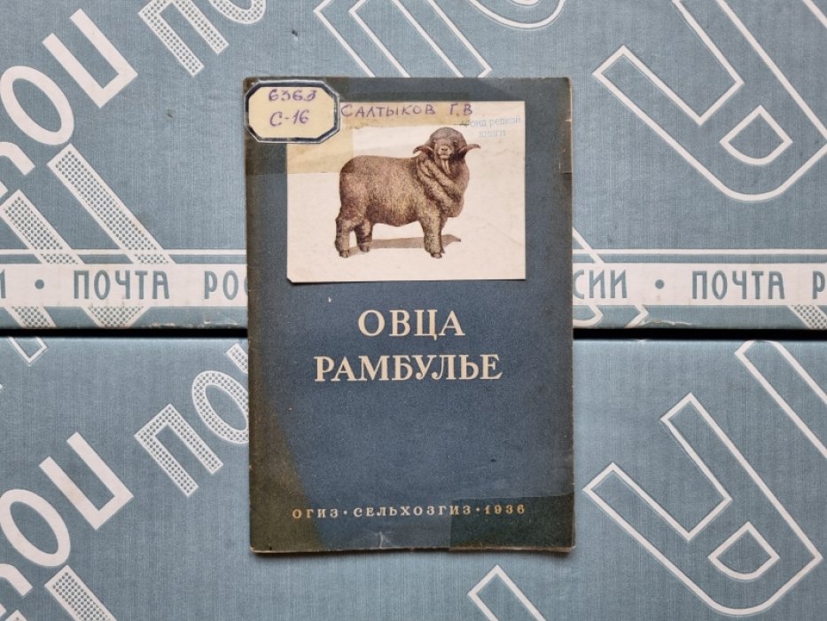 Салтыков Г.В. Овца рамбулье.