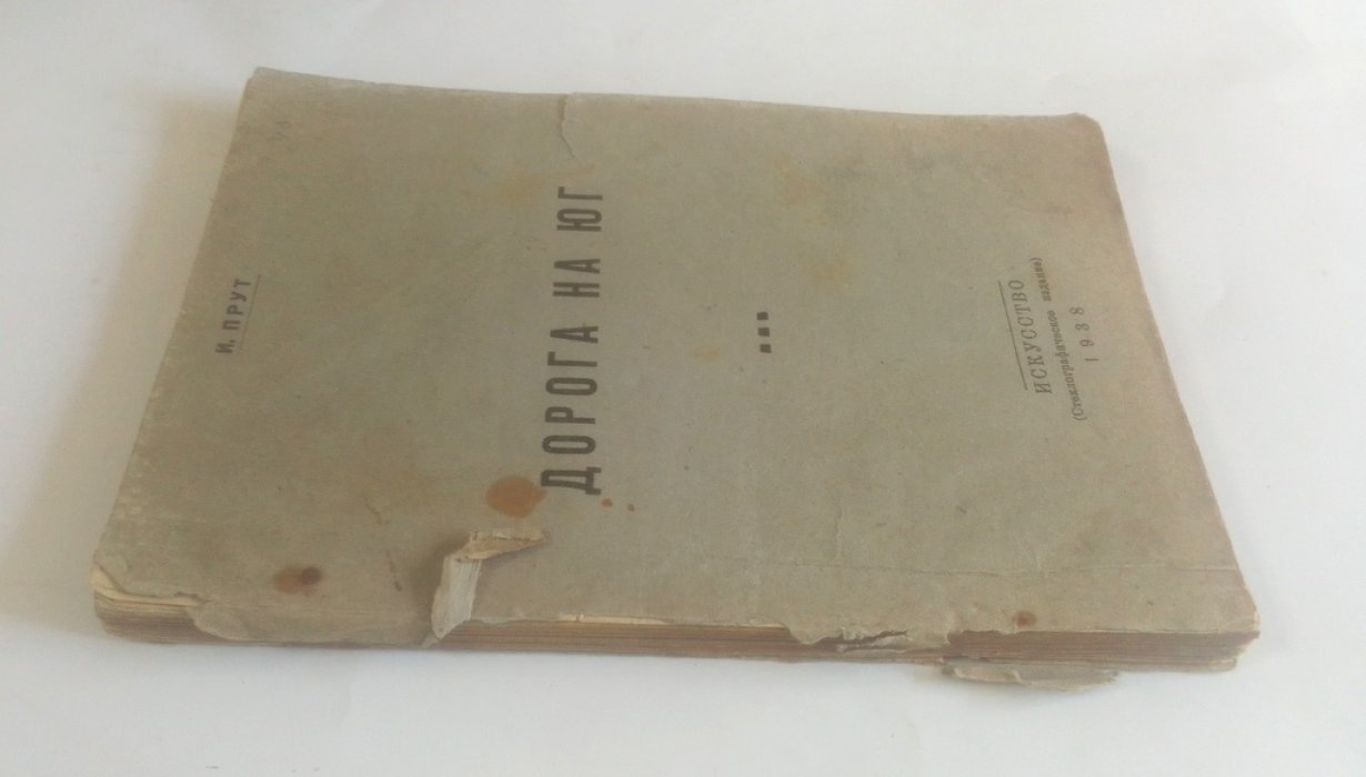 Прут, И. Дорога на Юг (Южфронт – 1919 г.)