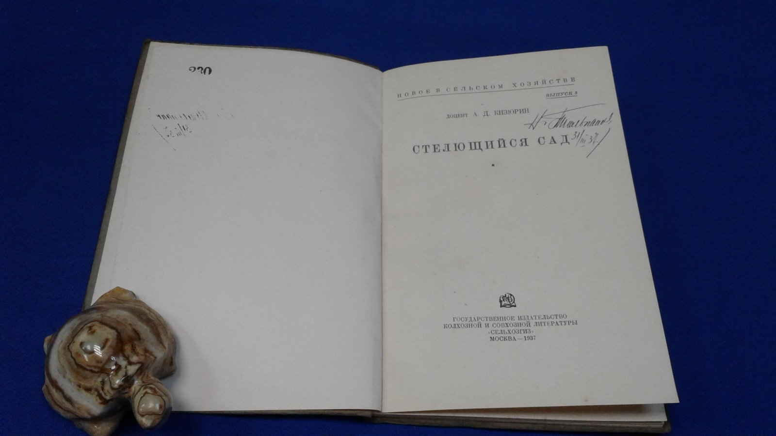 Кизюрин А.Д. Стелющийся сад.