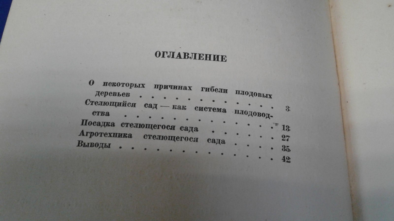 Кизюрин А.Д. Стелющийся сад.