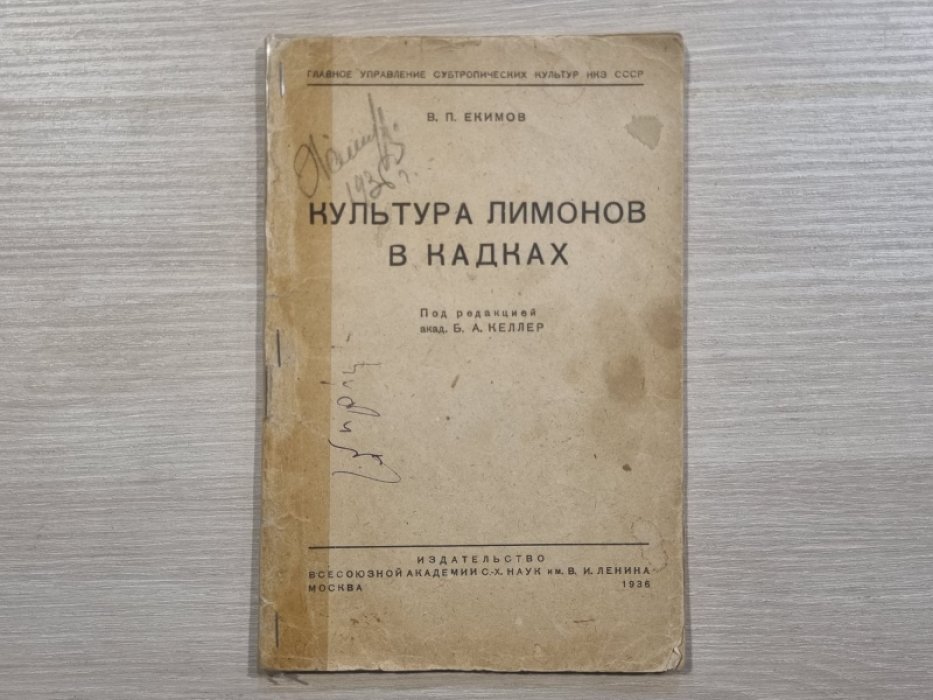 Екимов В.П. Культура лимонов в кадках.
