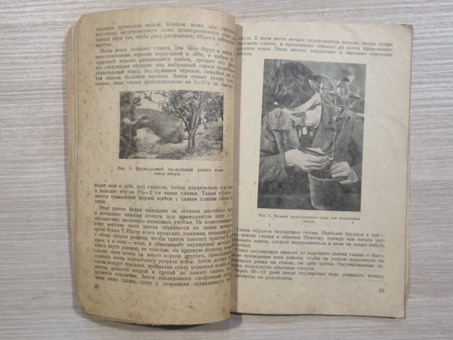 Екимов В.П. Культура лимонов в кадках.