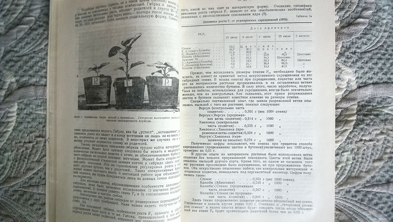 Сборник работ по селекции, генетике и семеноведению табака и махорки.