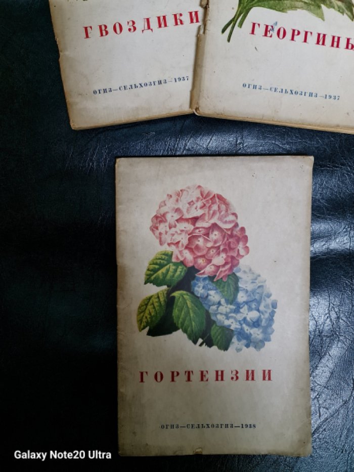 Сурс Ю.Т. Гортензии.