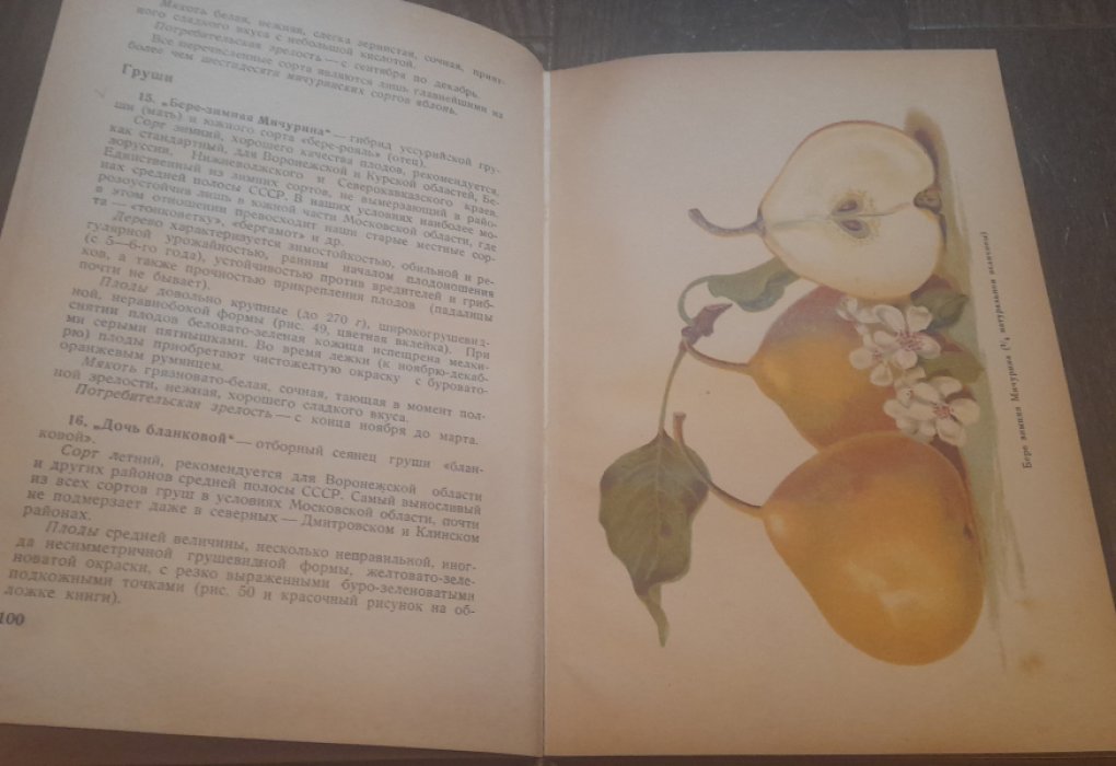 Гуров П., Шапиро Н. Мичуринские плоды в совхозы и колхозы Московской области.