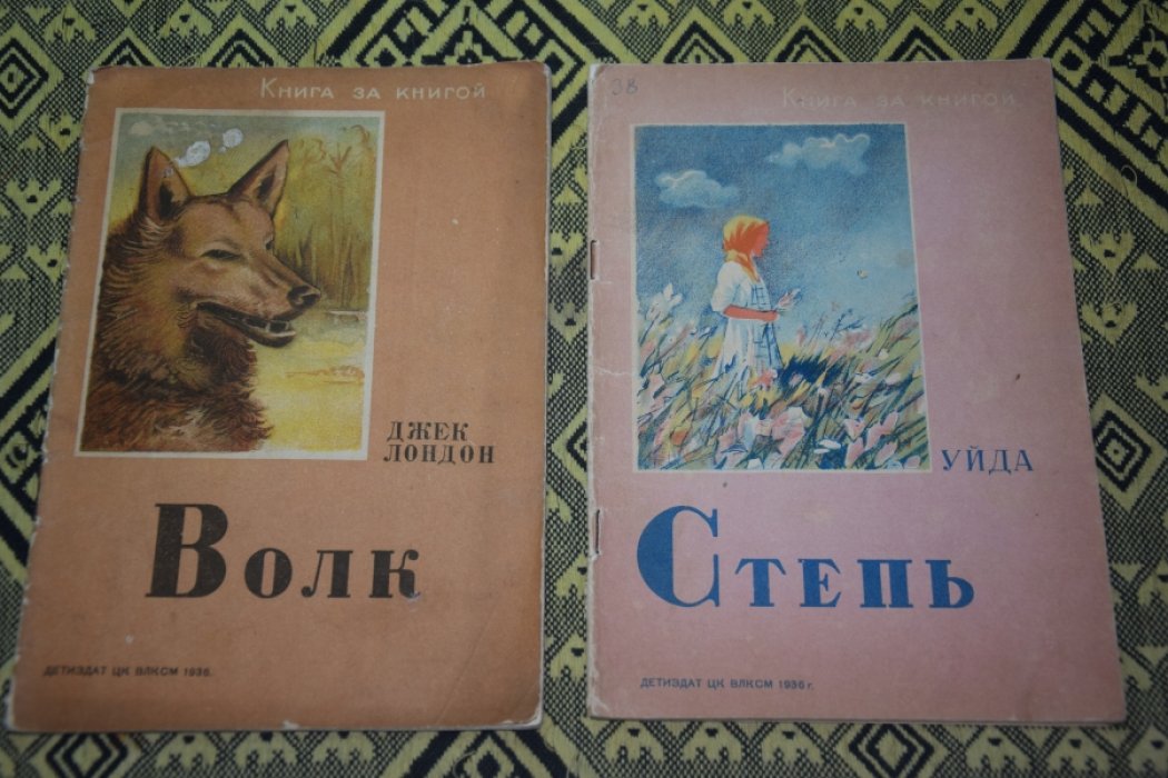 Джек Лондон, Уйда. Волк. Степь.