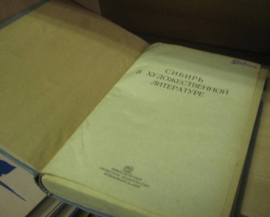 Сибирь в художественной литературе.