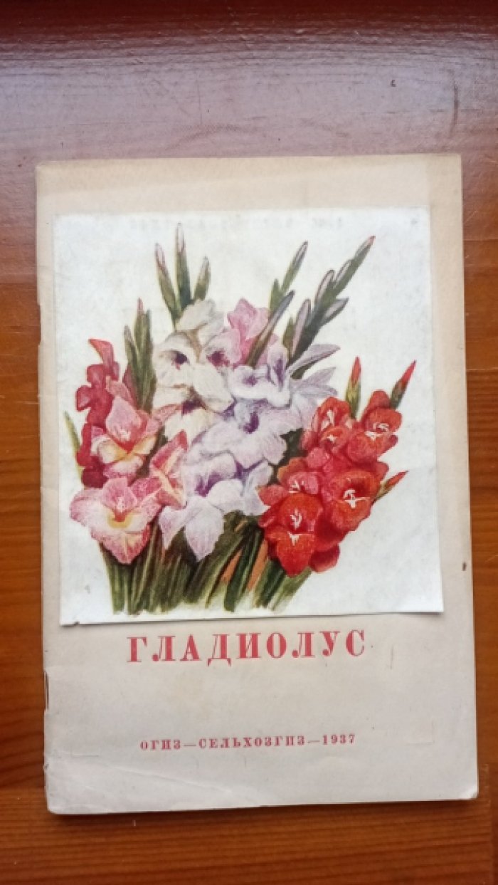Рокуэлл Ф. Гладиолус.