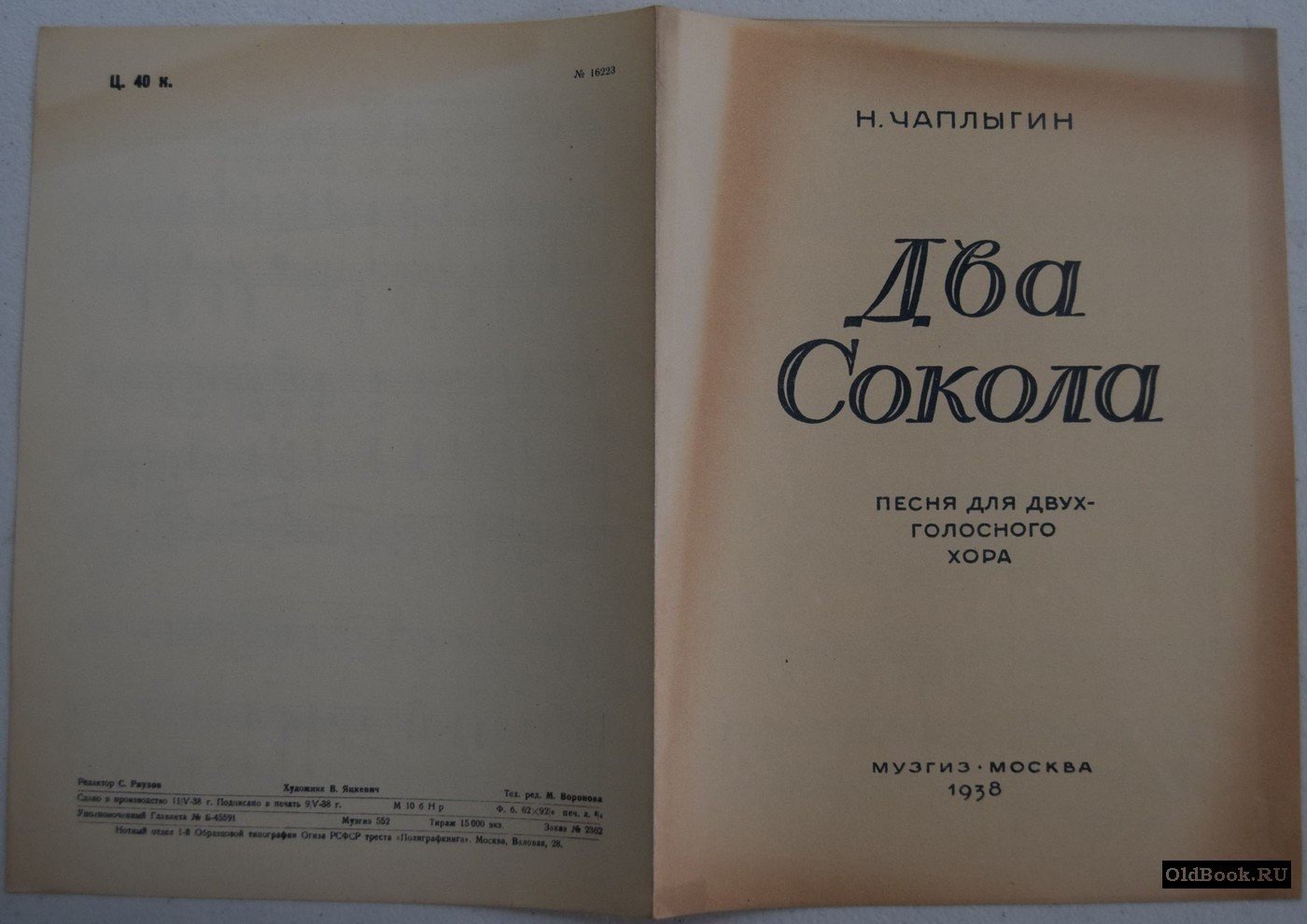 Чаплыгин Н. Два сокола.