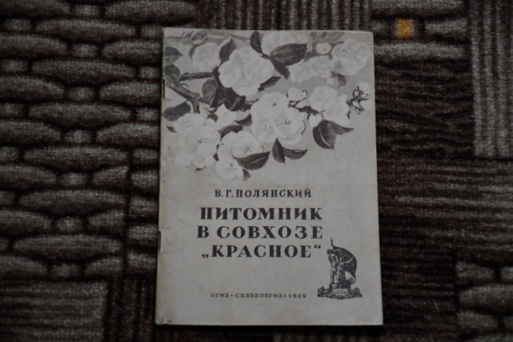 Полянский В. Г. Питомник в совхозе «Красное».