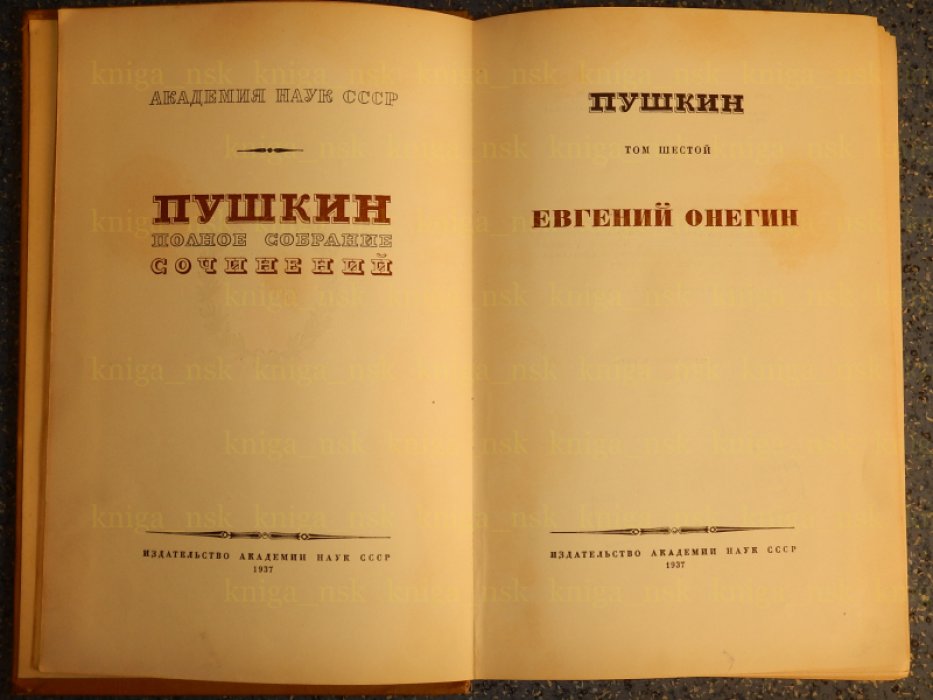 Пушкин А.С. Полное собрание сочинений. Том 6 (шестой). Евгений Онегин.