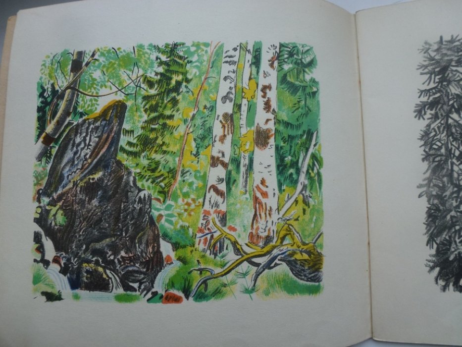 Рожанковский Ф. С. (Rojan) Martin.