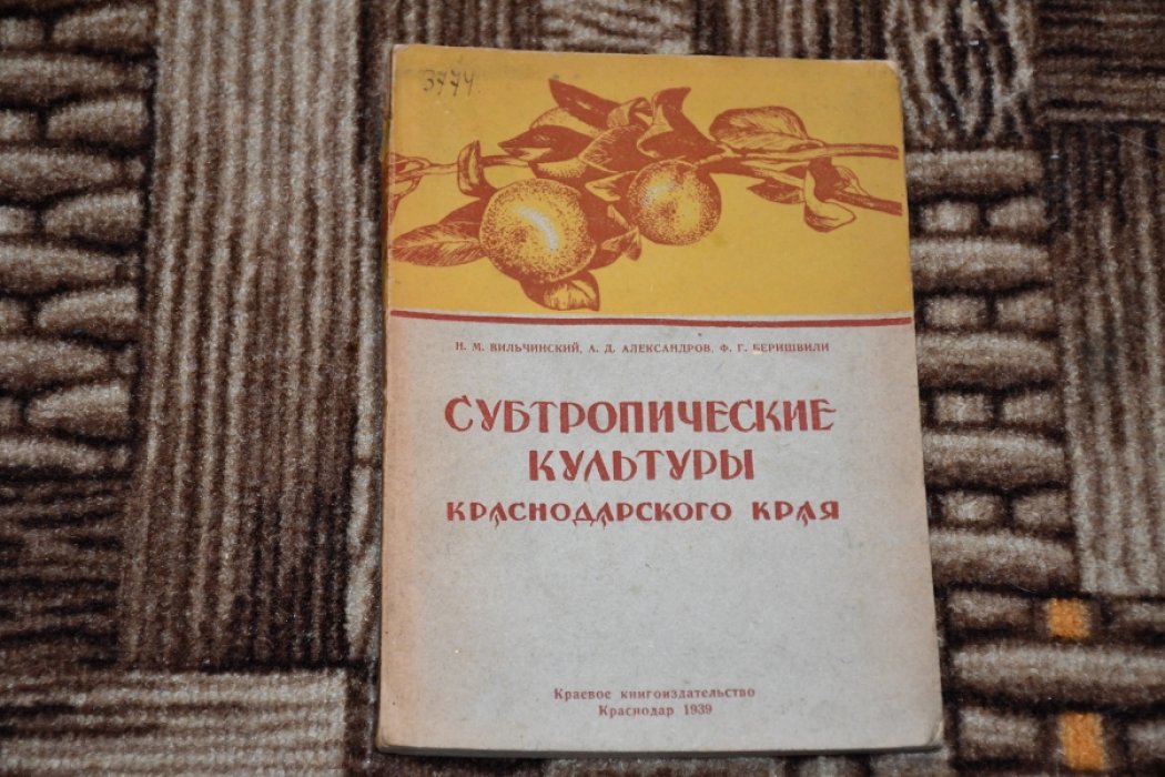 Вильчинский Н., Александров А., Беришвили Ф. Субтропические культуры Краснодарского края.