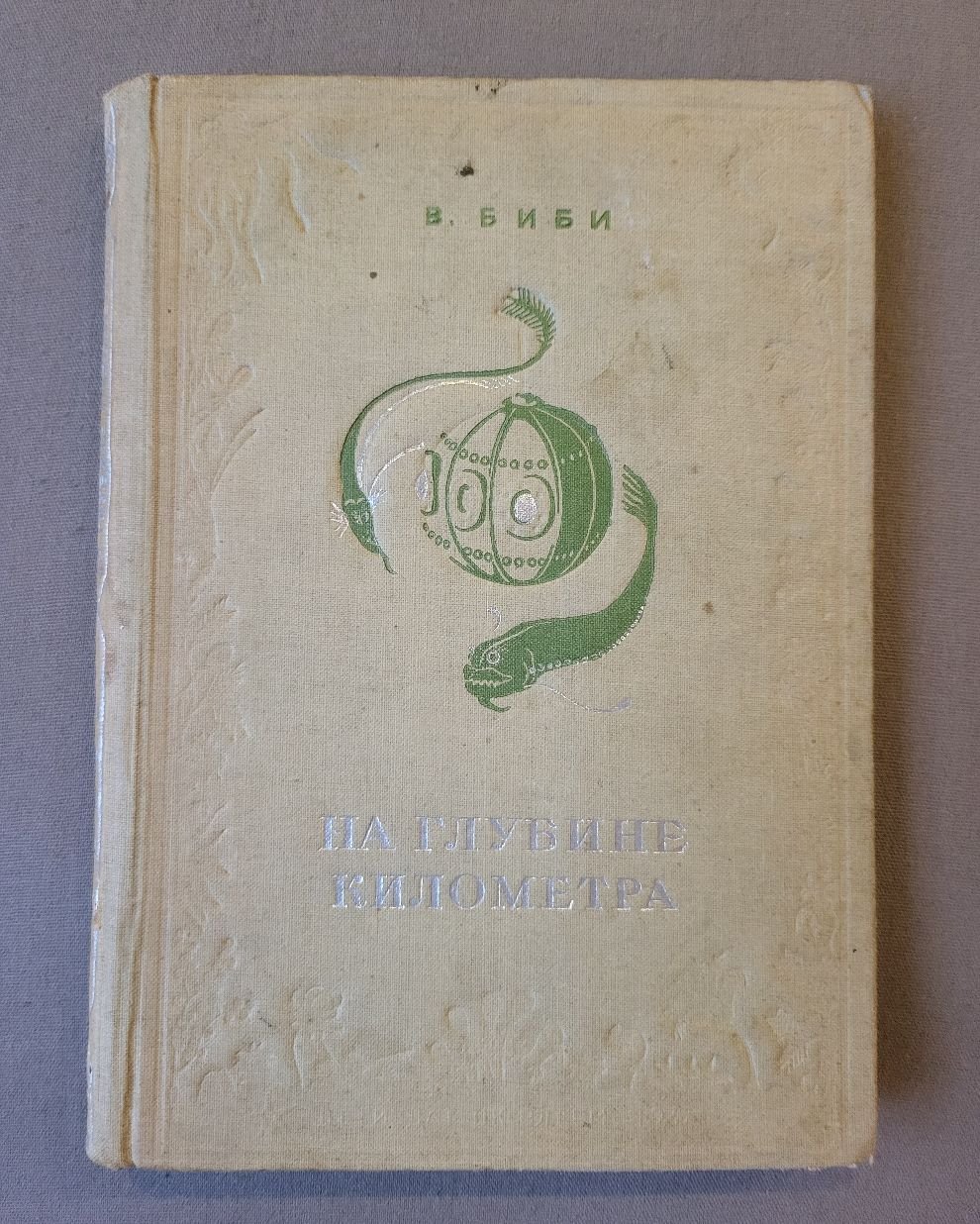 Биби В. На глубине километра.