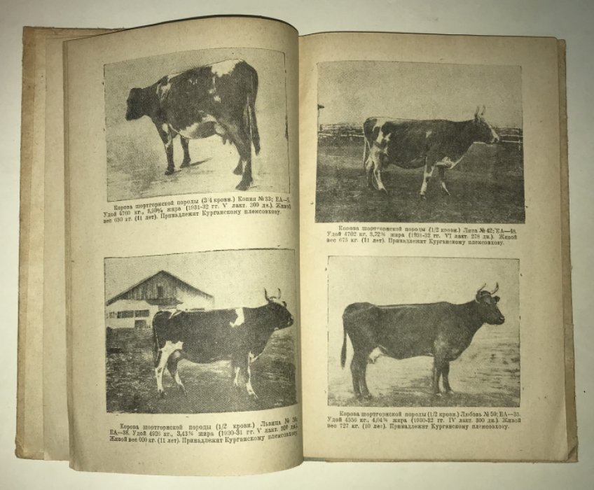 Единая государственная племенная книга крупного рогатого скота.