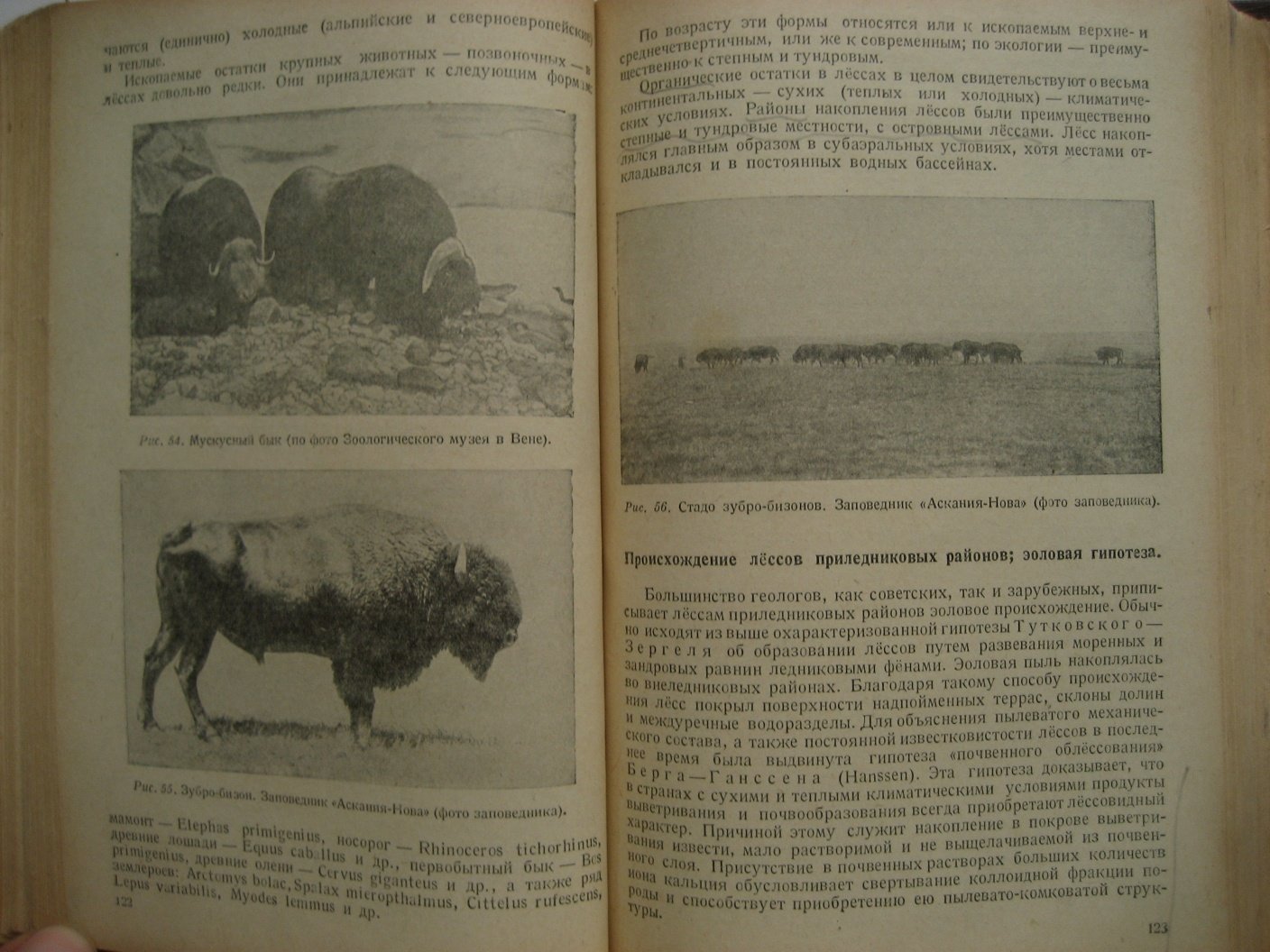 Герасимов И., Марков К. Четвертичная геология. (Палеогеография четвертичного периода)