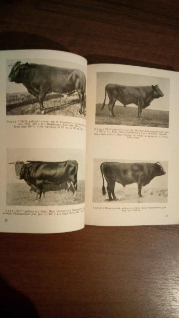 Государственная племенная книга крупного рогатого скота Куйбышевской области.