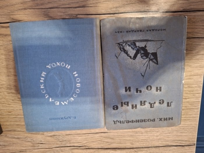 Дружинин В. Новоземельский поход. 