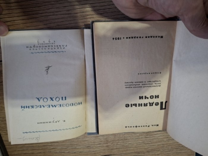 Дружинин В. Новоземельский поход. 