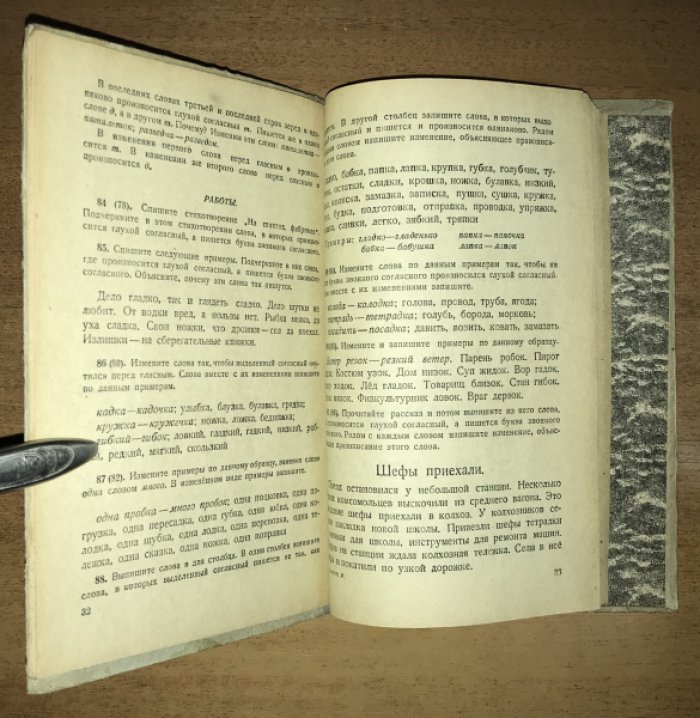 Палей И.Р. Русский язык. Грамматика и правописание. Учебник для школ малограмотных.