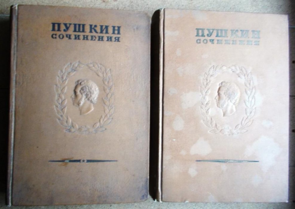 Пушкин А.С. Полное собрание сочинений в 16 томах (20 книгах) Том. 8. кн. 1. кн.2.