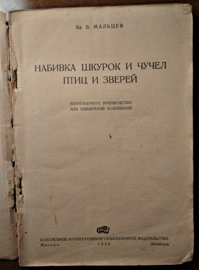 Мальцев В.В. Набивка шкурок и чучел птиц и зверей.