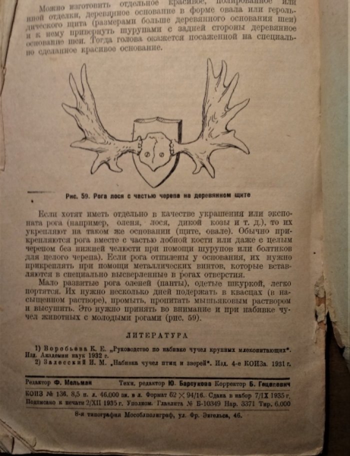 Мальцев В.В. Набивка шкурок и чучел птиц и зверей.