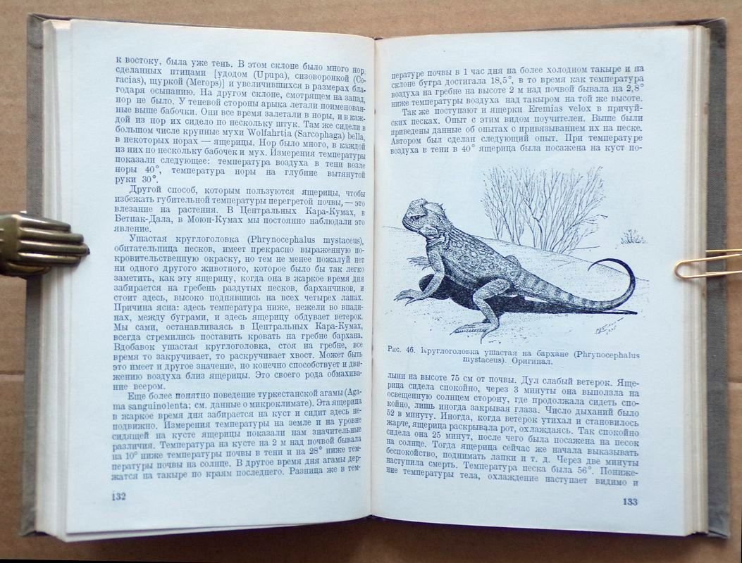 Кашкаров Д.Н., Коровин Е.П. Жизнь пустыни.