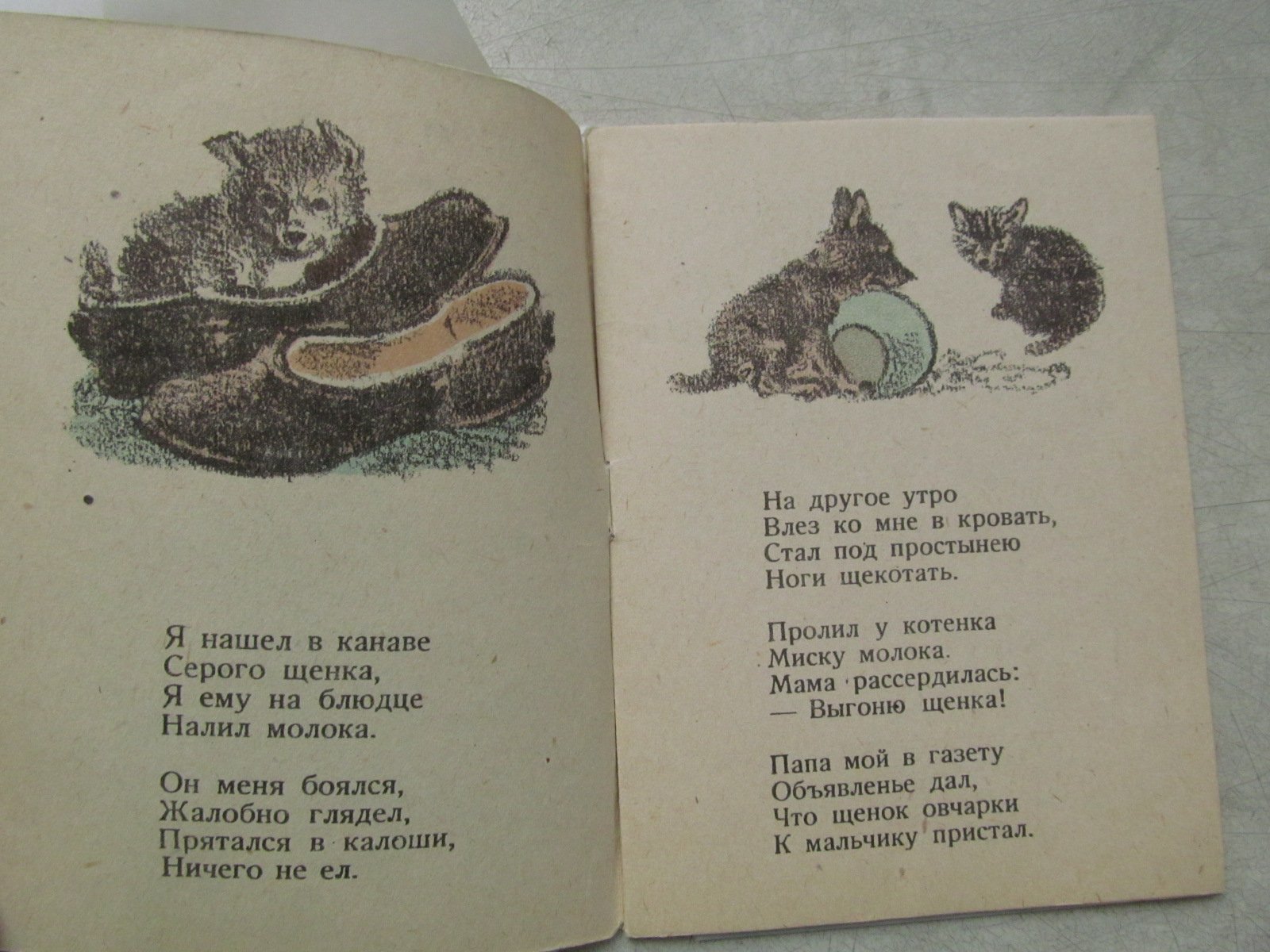 Александрова З. Дозор.  Рисунки К. Кузнецова