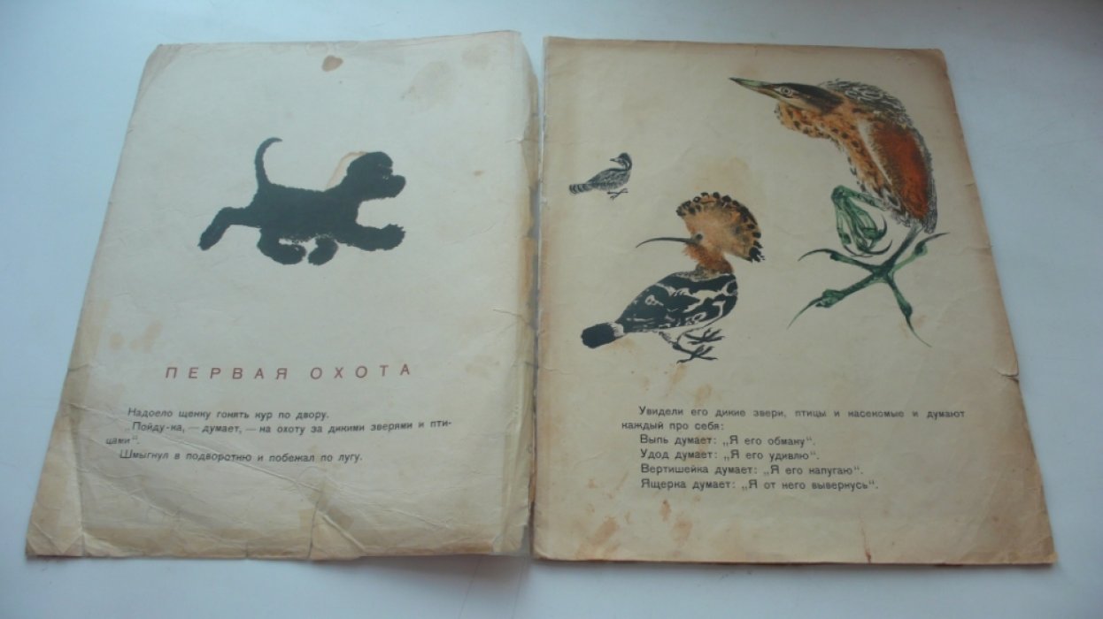 Бианки В. Первая охота.