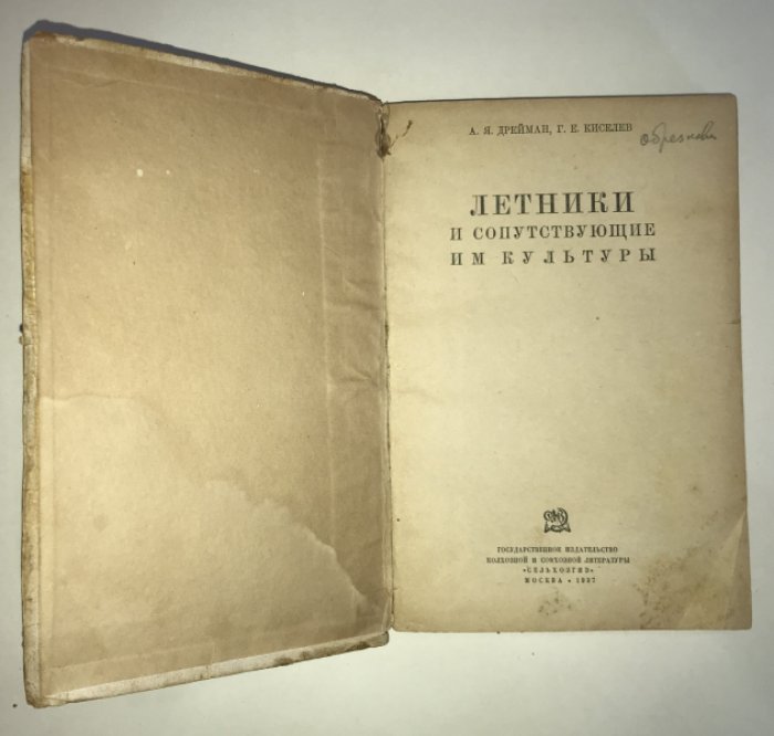 Дрейман А.Я., Киселев Г.Е. Летники и сопутствующие им культуры. 