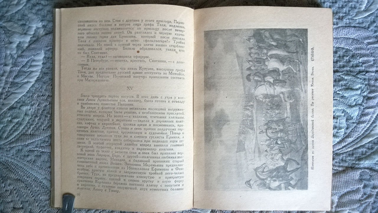 Данилевский Г.П. Сожженная Москва.