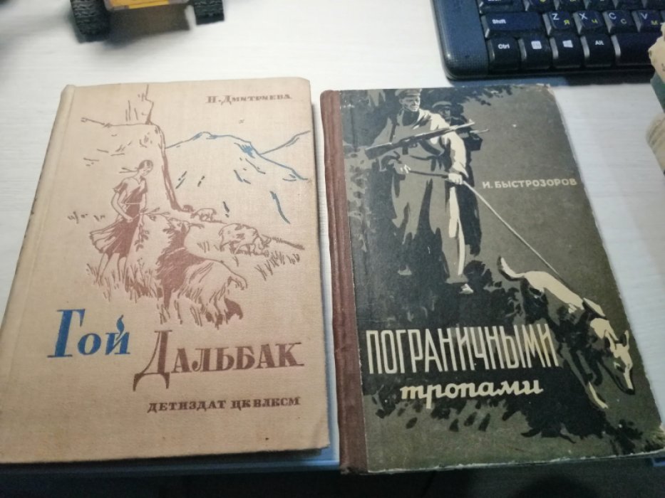 Дмитриева Н. Гой Дальбак.