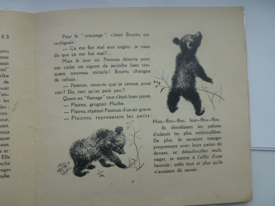 Рожанковский Ф. С. (Rojan) Bourru.