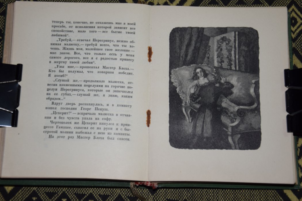 Гофман. Повелитель блох.