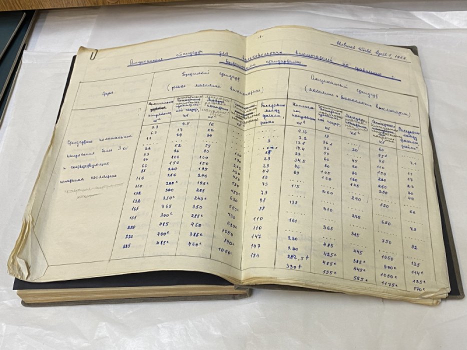 Дипломный проект. Разъединитель мощности на 6-10 КВ, 800 А (автопневматический).