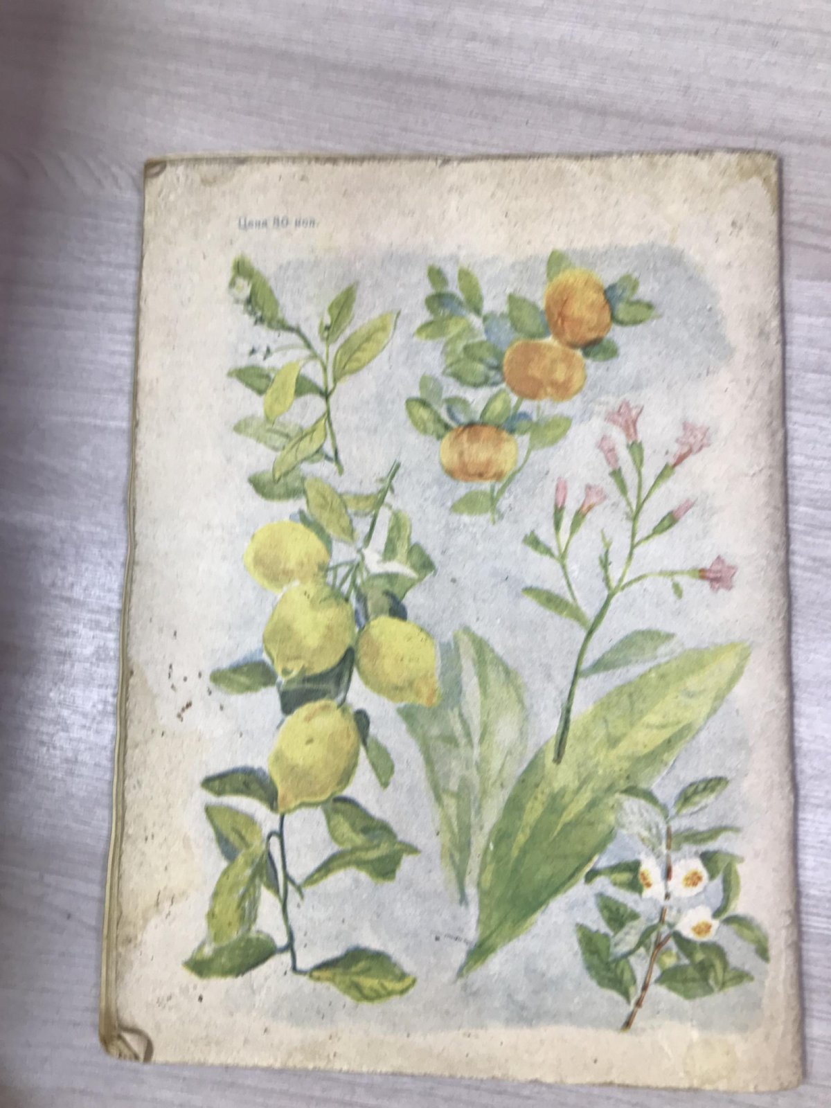 Юный натуралист. Ежемесячный журнал.1939, № 12, декабрь (60-летие И.Сталина)