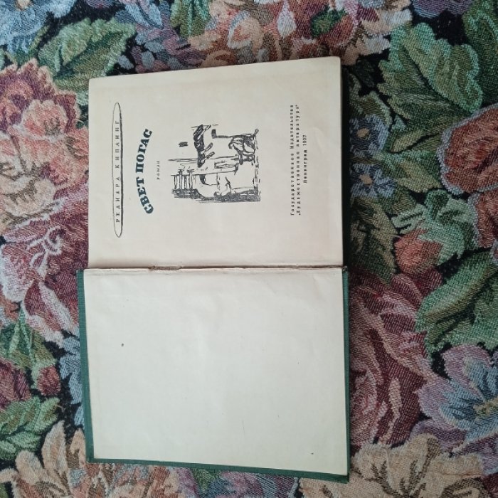 Киплинг Р. Свет погас.